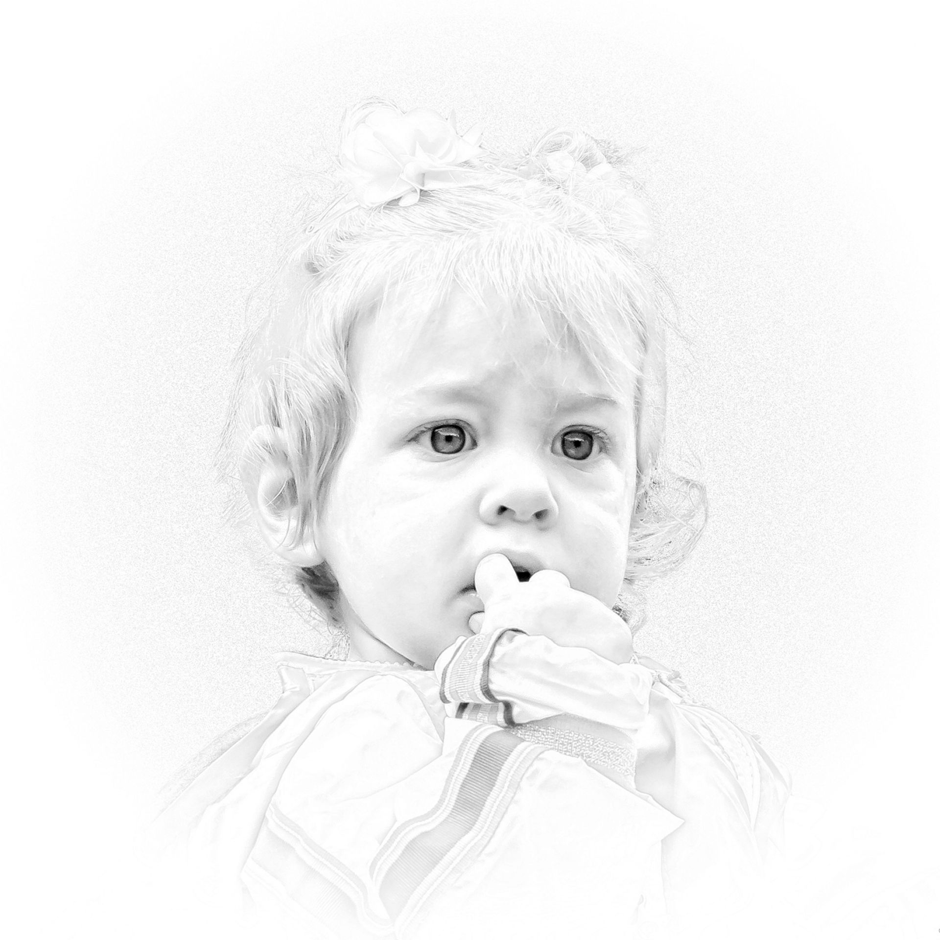 Fotoclub de Hof behaalt mooi resultaat tijdens Bondsfotowedstrijd 2017