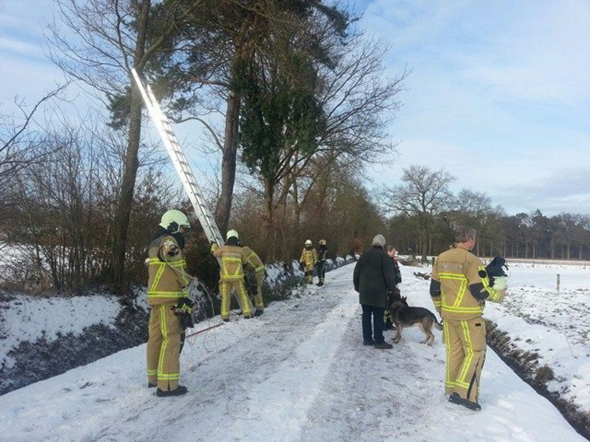 Brandweer verwijdert gevaarlijke takken in buitengebied Delden