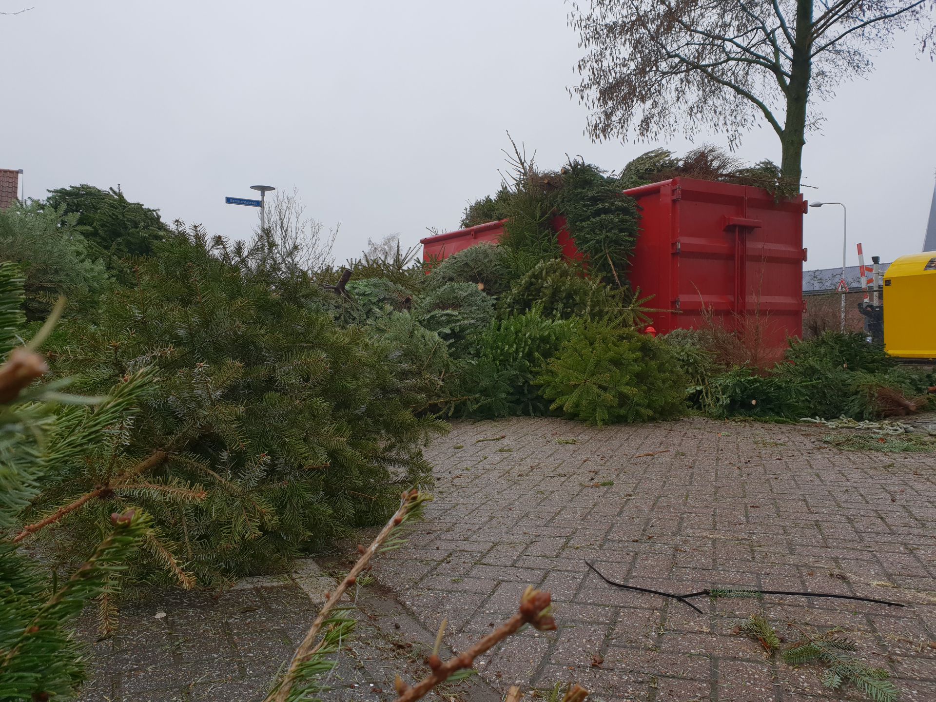 Video: Weer vele honderden kerstbomen voor Benteloos paasvuur