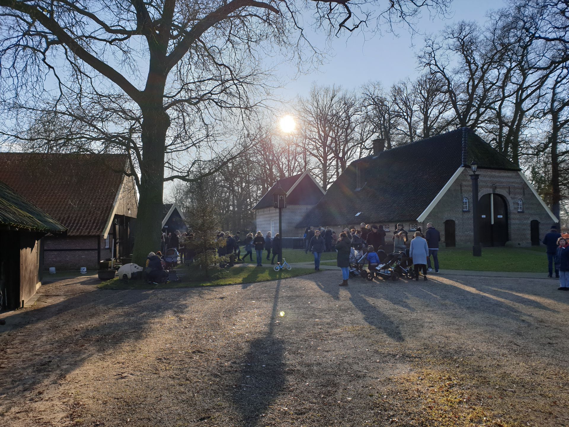 Midwinterwandeling breekt record met 1200 deelnemers
