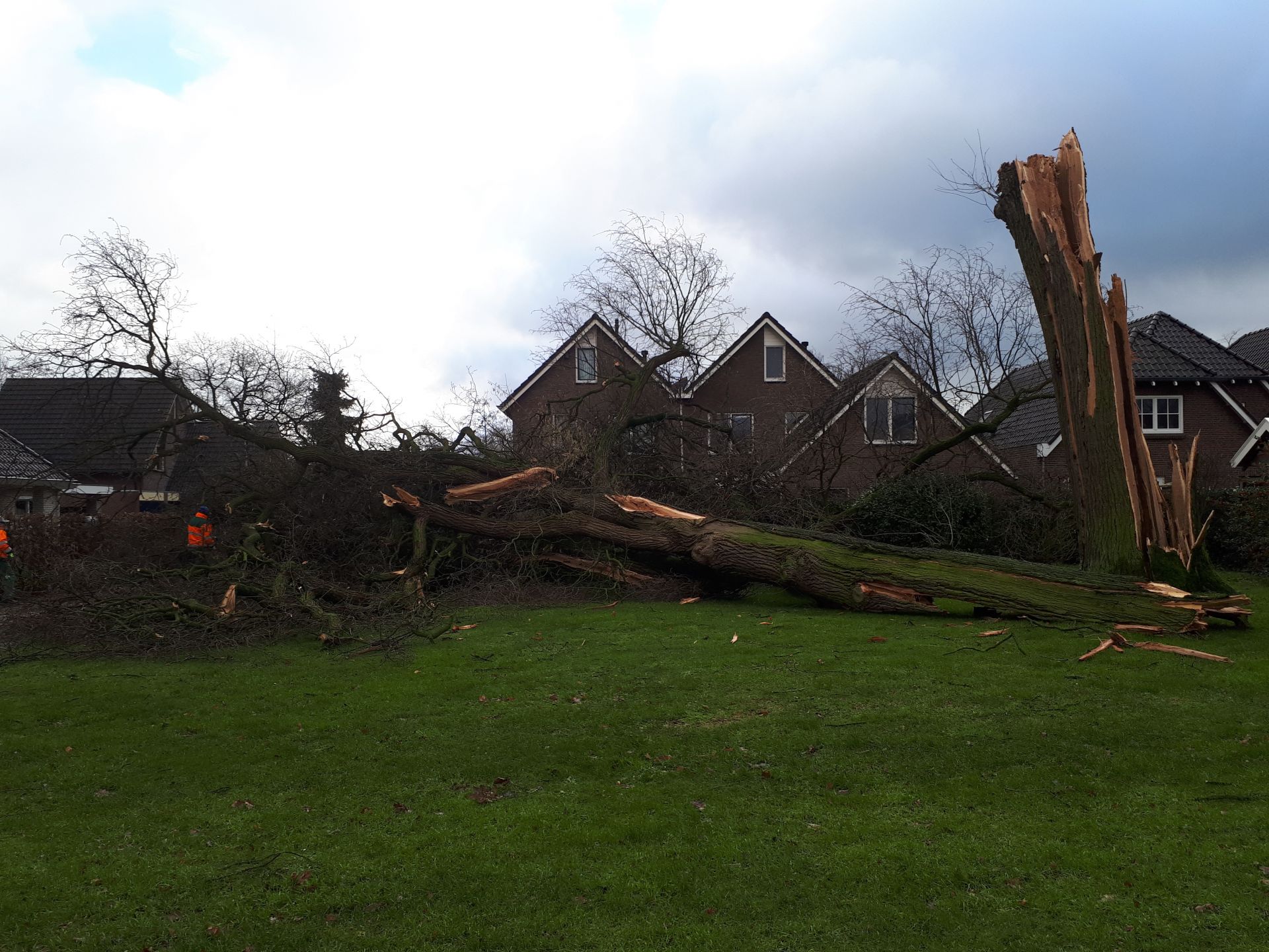 Update 3: Foto&rsquo;s: Storm trekt spoor van vernieling over Delden