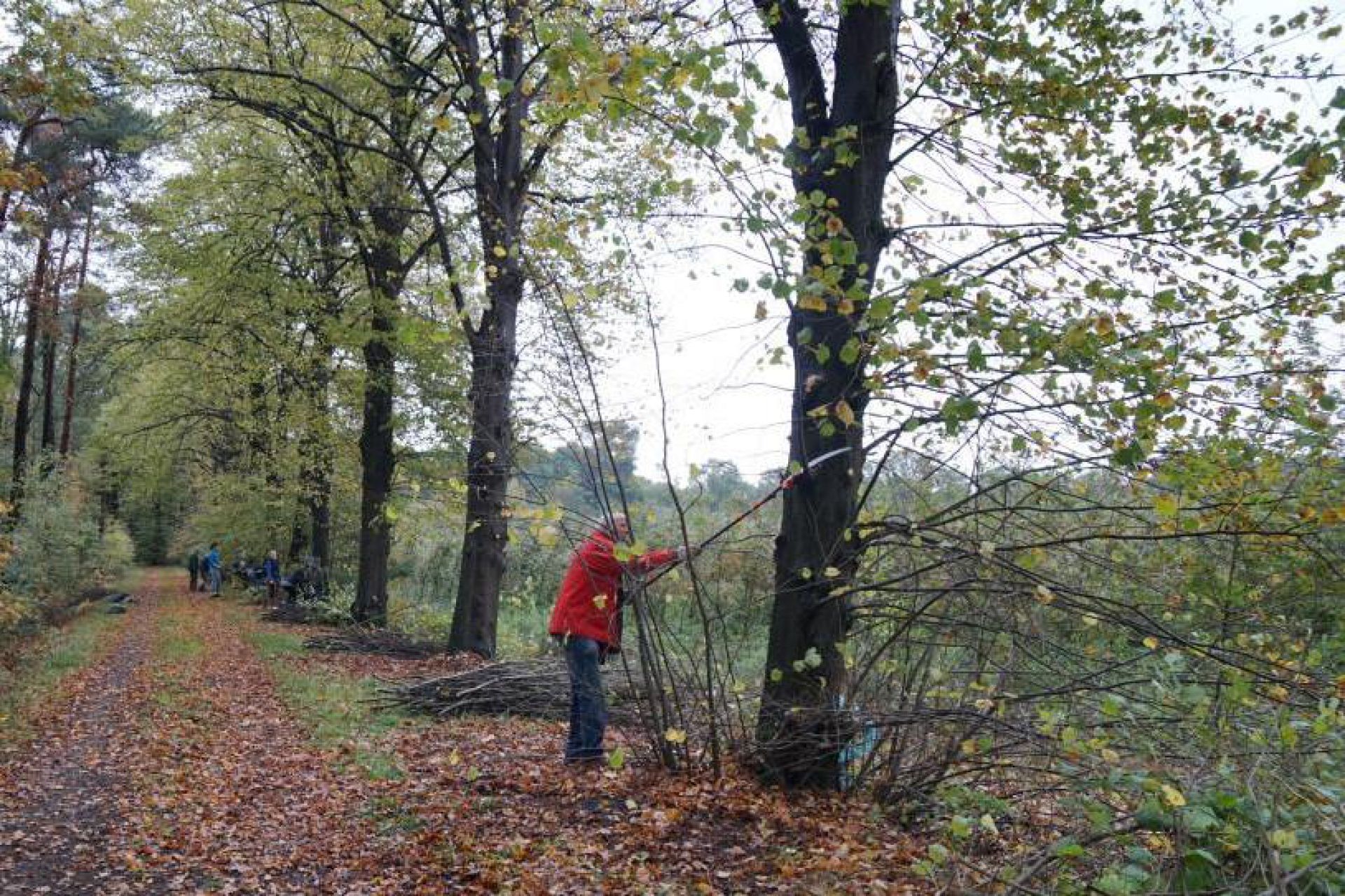 Grote opkomst natuurwerkochtend Vrienden van Twickel