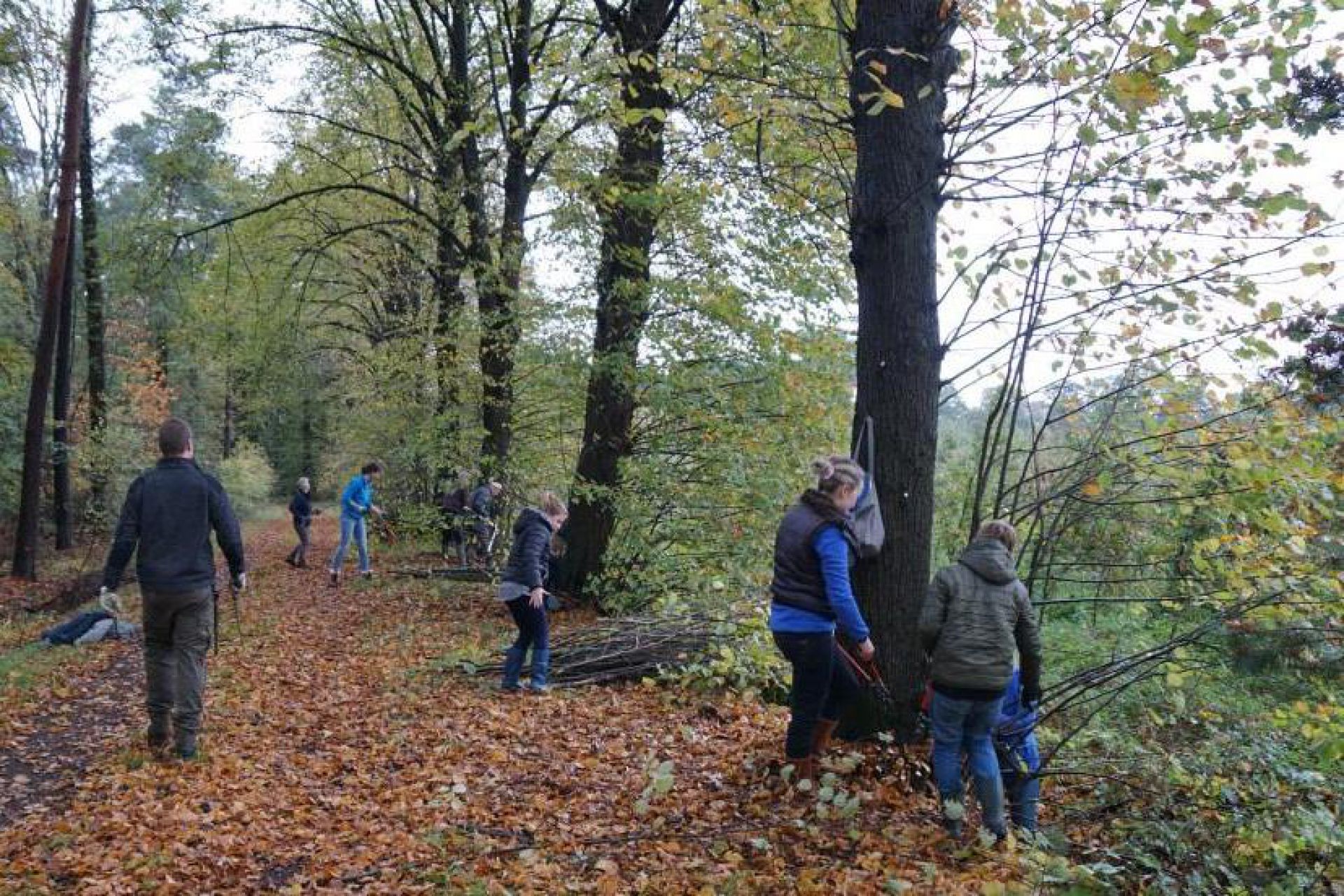 Grote opkomst natuurwerkochtend Vrienden van Twickel