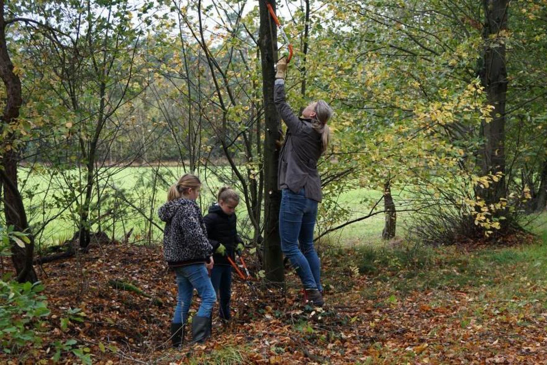 Grote opkomst natuurwerkochtend Vrienden van Twickel