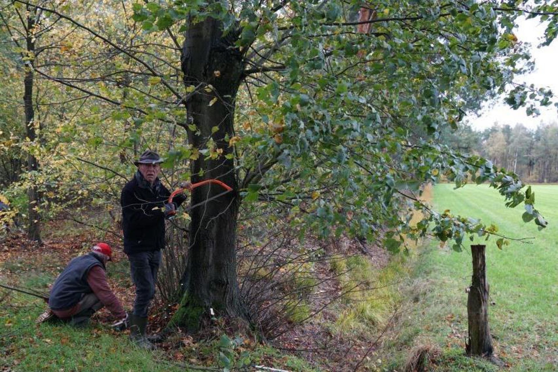 Grote opkomst natuurwerkochtend Vrienden van Twickel