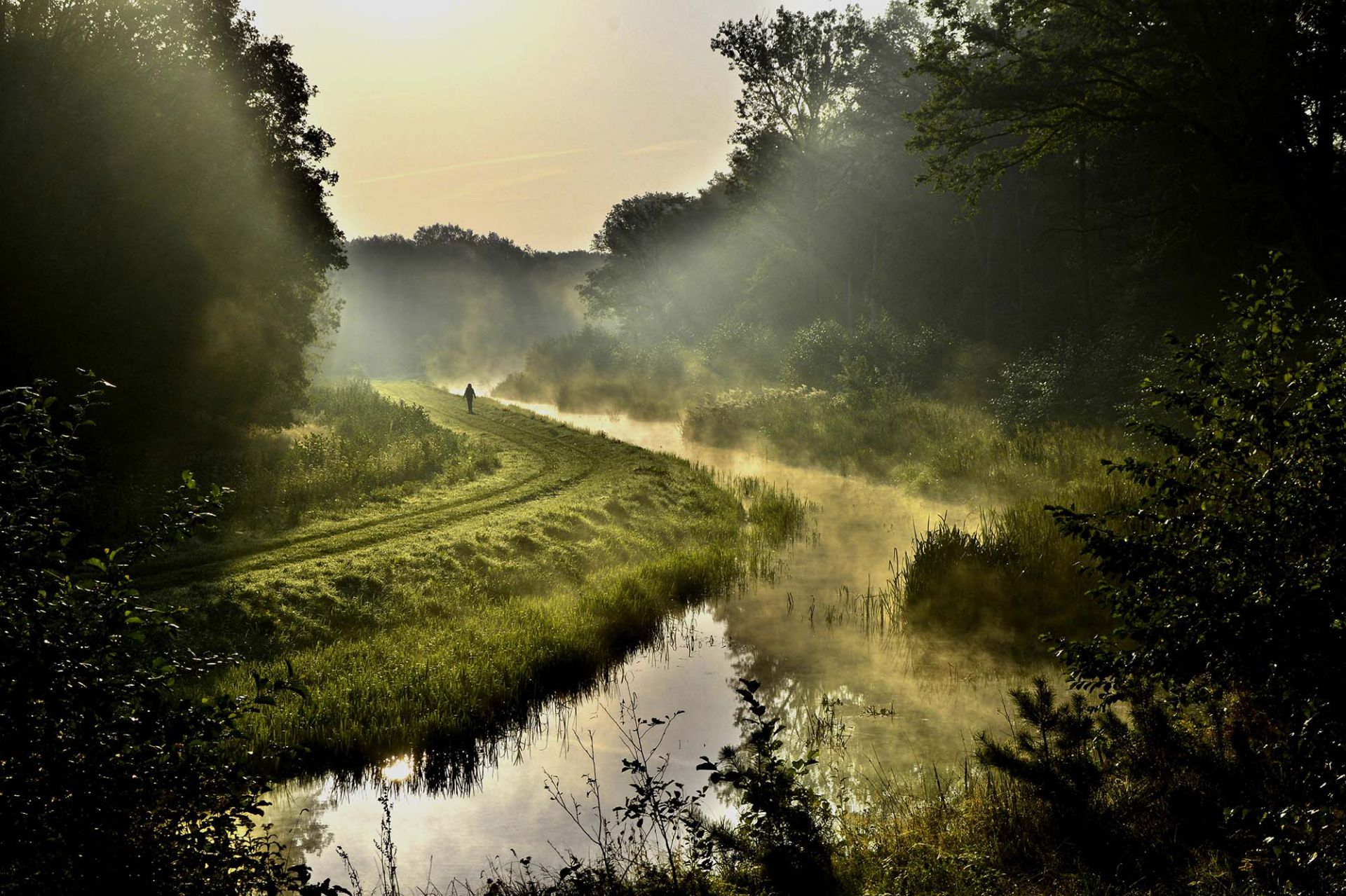 Tweede plaatsen voor Fotoclub de Hof bij afdelingswedstrijd 2019