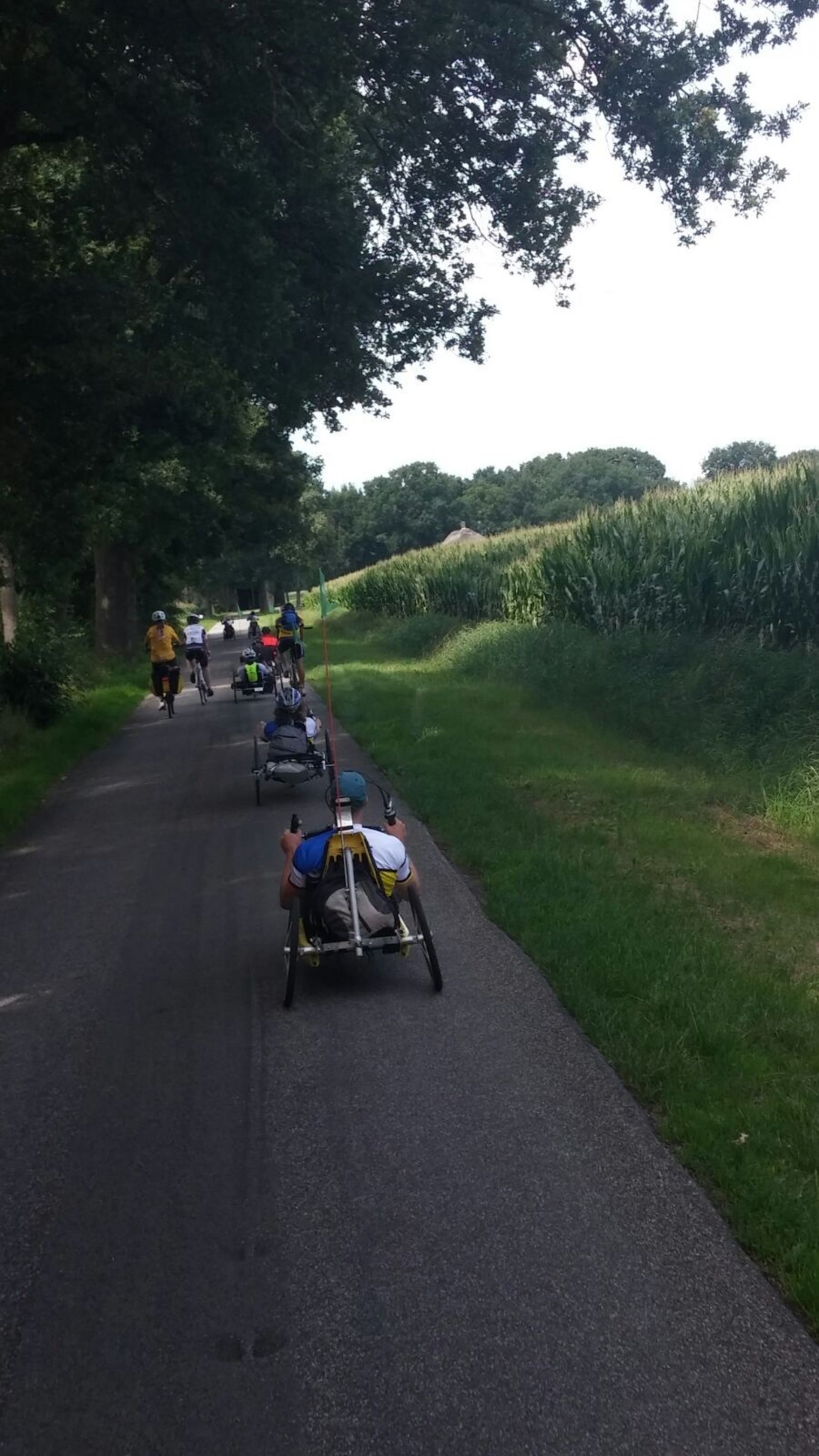 Regenkleding niet nodig op zonnige tweede dag Rolstoelvierdaagse