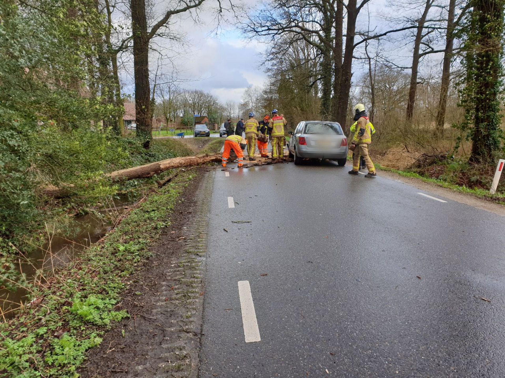 Auto in botsing met omgewaaide boom 