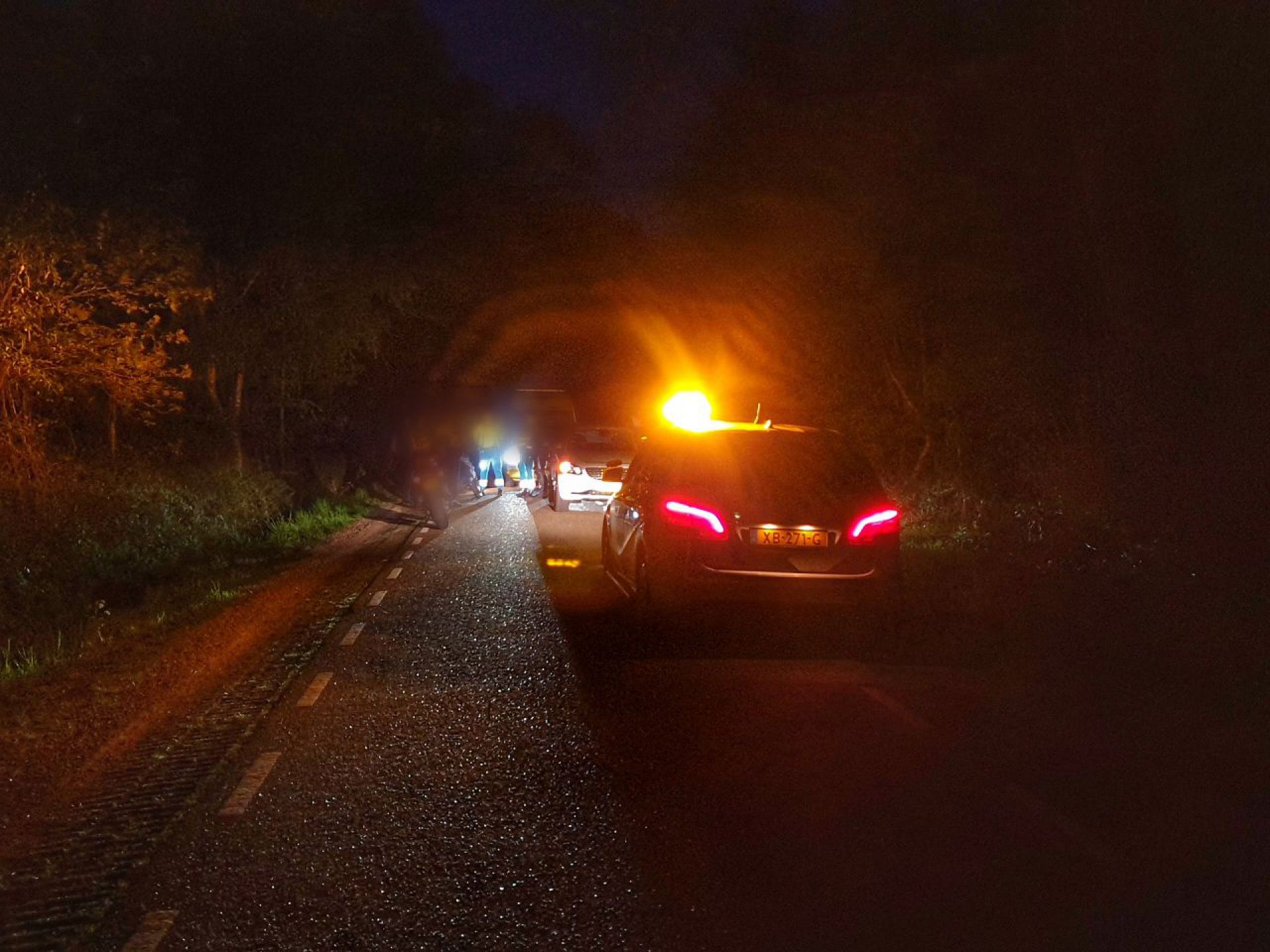 Ree uit lijden verlost na aanrijding met motorrijder