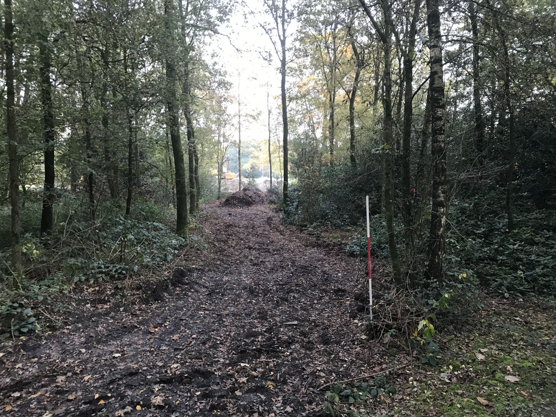 Aanleg nieuwe Twickelvijver in volle gang