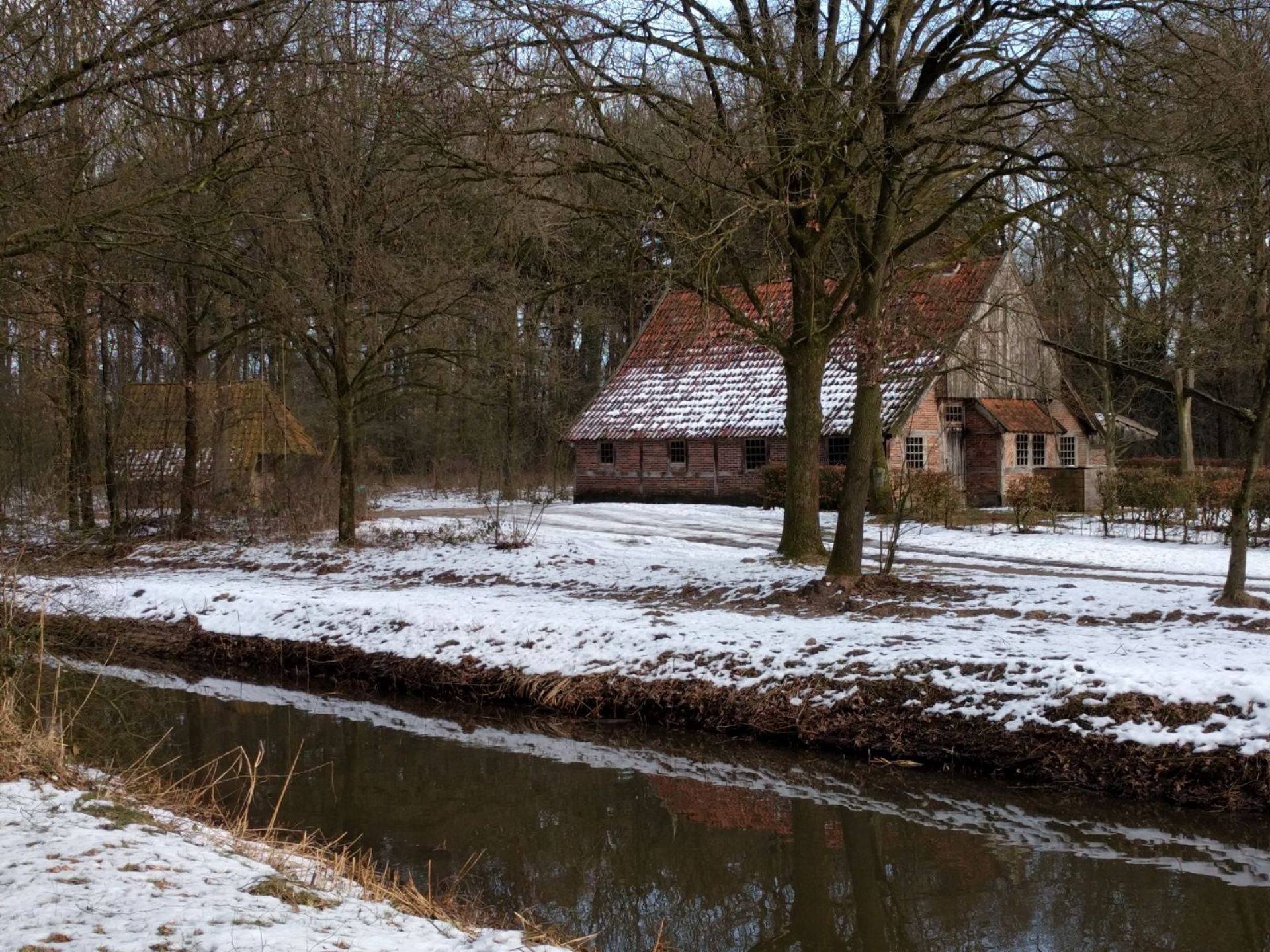 Deldense scouts leggen tientallen kilometers af tijdens jaarlijkse winterhike