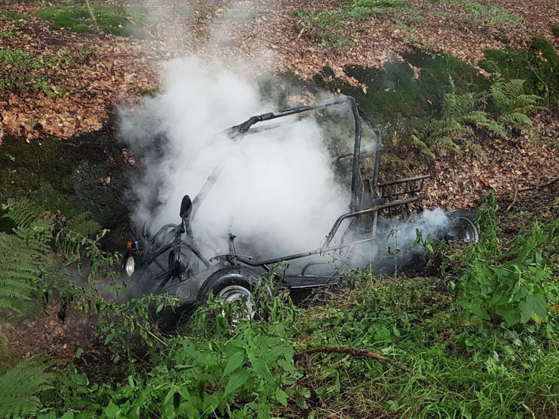Inzittenden buggy komen met schrik vrij na brand 