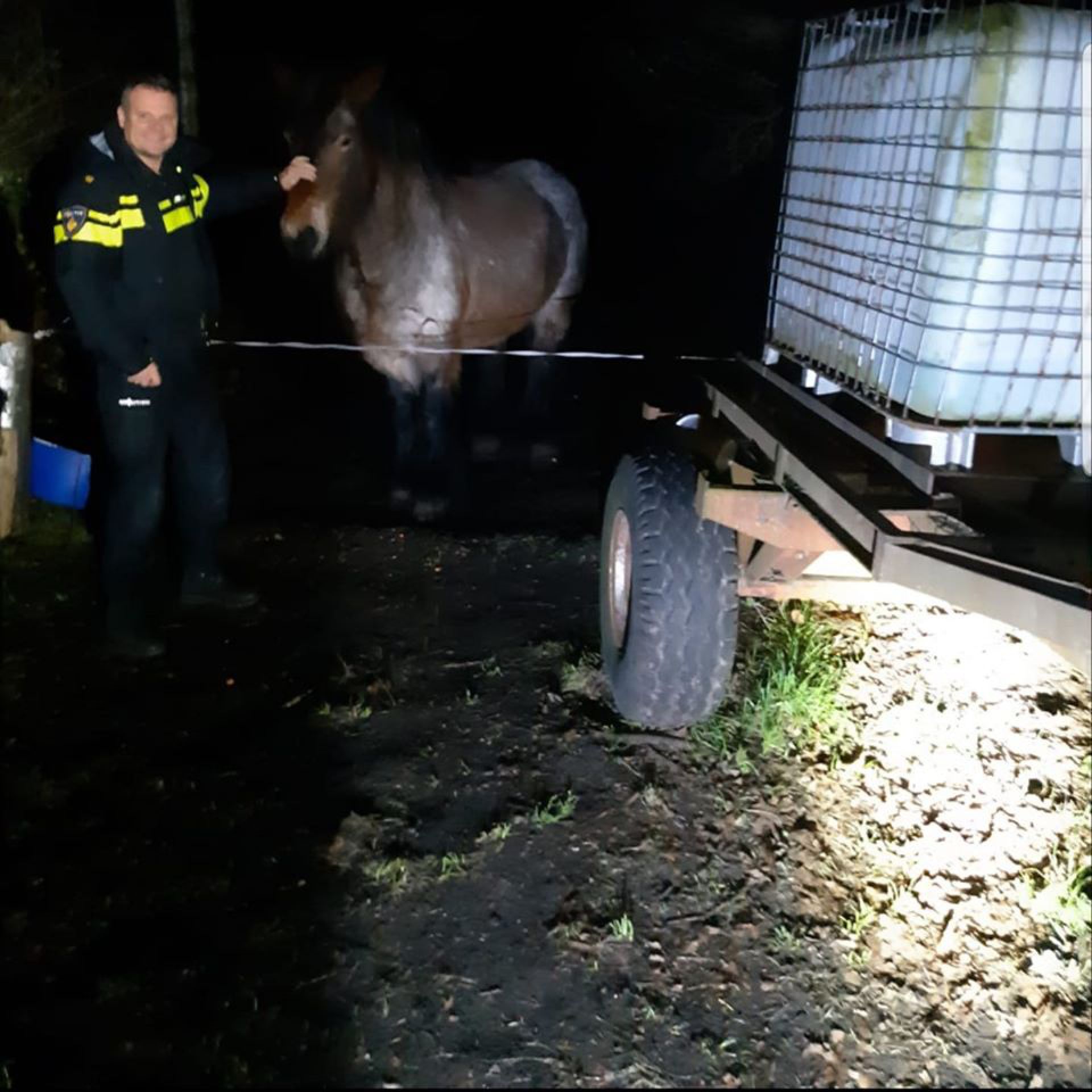 Geen chemisch afval maar water voor het paard