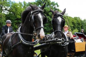 Twenterit Koets&rsquo;n Keerls Delden