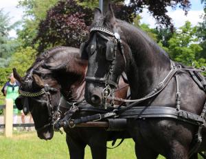 Twenterit Koets&rsquo;n Keerls Delden