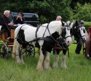 Twenterit Koets&rsquo;n Keerls Delden