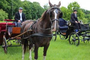 Twenterit Koets&rsquo;n Keerls Delden