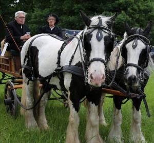 Twenterit Koets&rsquo;n Keerls Delden