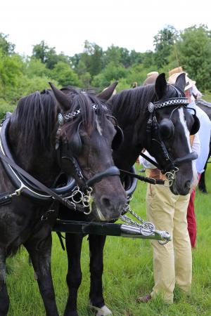 Twenterit Koets&rsquo;n Keerls Delden