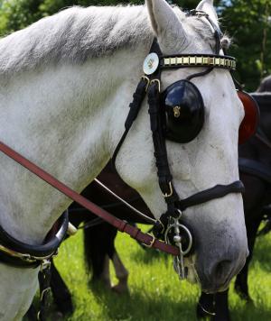 Twenterit Koets&rsquo;n Keerls Delden