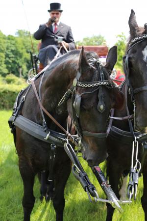 Twenterit Koets&rsquo;n Keerls Delden