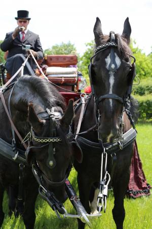 Twenterit Koets&rsquo;n Keerls Delden