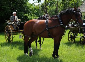 Twenterit Koets&rsquo;n Keerls Delden