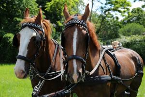 Twenterit Koets&rsquo;n Keerls Delden
