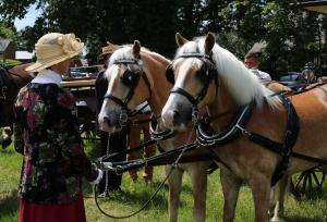 Twenterit Koets&rsquo;n Keerls Delden