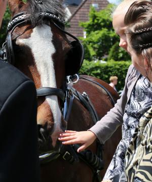 Twenterit Koets&rsquo;n Keerls Delden