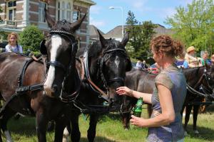 Twenterit Koets&rsquo;n Keerls Delden