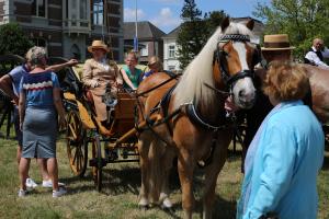 Twenterit Koets&rsquo;n Keerls Delden