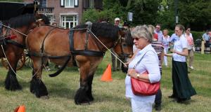 Twenterit Koets&rsquo;n Keerls Delden