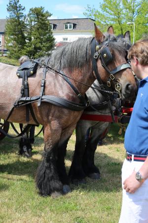 Twenterit Koets&rsquo;n Keerls Delden