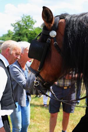Twenterit Koets&rsquo;n Keerls Delden