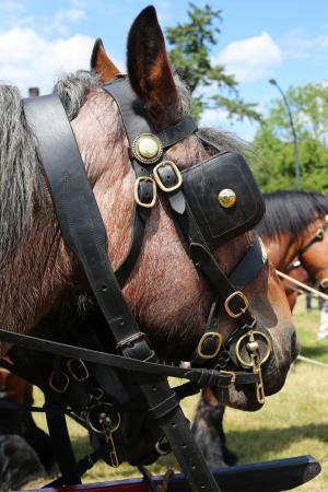 Twenterit Koets&rsquo;n Keerls Delden