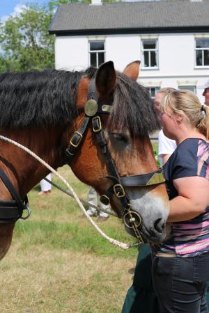 Twenterit Koets&rsquo;n Keerls Delden