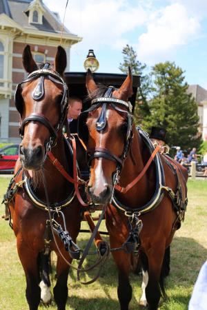 Twenterit Koets&rsquo;n Keerls Delden