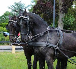 Twenterit Koets&rsquo;n Keerls Delden