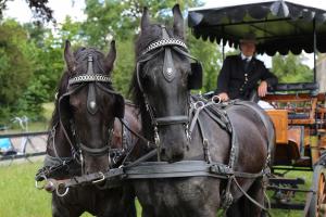 Twenterit Koets&rsquo;n Keerls Delden