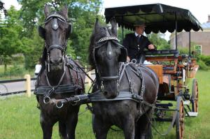 Twenterit Koets&rsquo;n Keerls Delden