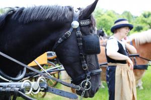 Twenterit Koets&rsquo;n Keerls Delden