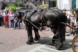 Twenterit Koets&rsquo;n Keerls Delden