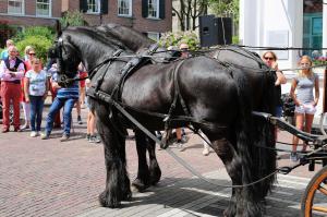Twenterit Koets&rsquo;n Keerls Delden