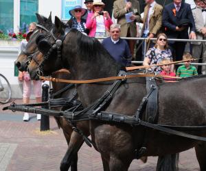 Twenterit Koets&rsquo;n Keerls Delden