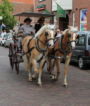 Twenterit Koets&rsquo;n Keerls Delden