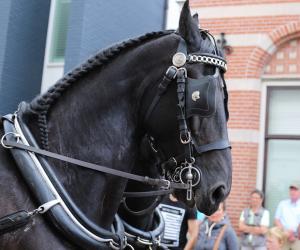 Twenterit Koets&rsquo;n Keerls Delden