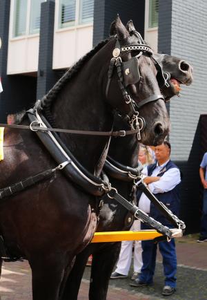Twenterit Koets&rsquo;n Keerls Delden