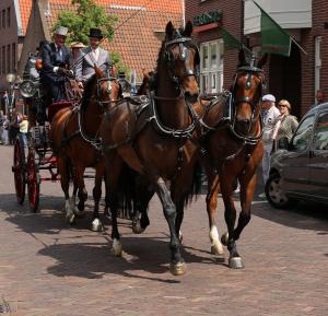 Twenterit Koets&rsquo;n Keerls Delden