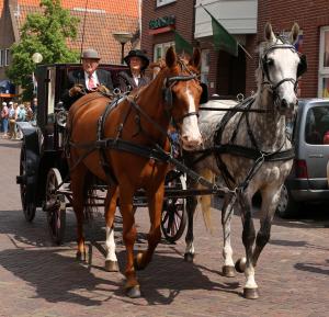 Twenterit Koets&rsquo;n Keerls Delden